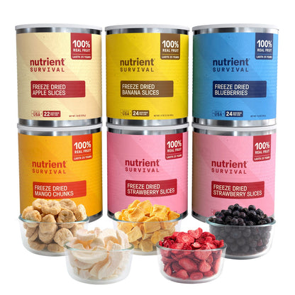 Nutrient Survival freeze dried fruit variety pack front view