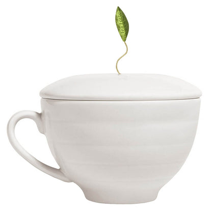 White tea trays included with Tea Forté set