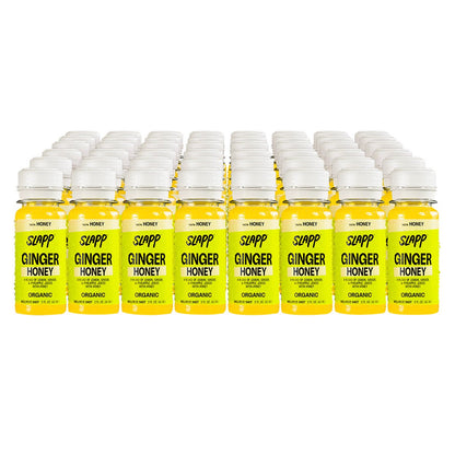 SLAPP organic ginger and honey daily booster shots 48-count