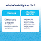 Vital Proteins paleo-friendly collagen peptides