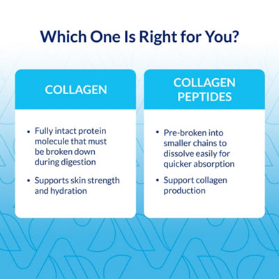 Vital Proteins paleo-friendly collagen peptides