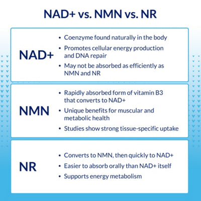 NAD+ and resveratrol vegetarian capsule formula
