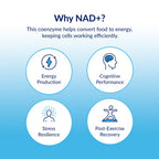 Life Extension NAD+ Cell Regenerator 30-capsule supplement