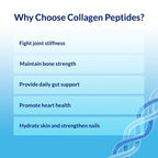 Ancient Nutrition multi-source collagen supplement