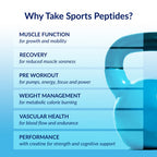 BodyTech Elite Recovery Pep post-workout recovery powder