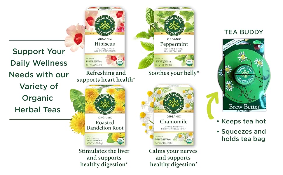 Visit the Traditional Medicinals Store — Traditional Medicinals Organic Spearmint, 16 Tea Bags - product image 97
