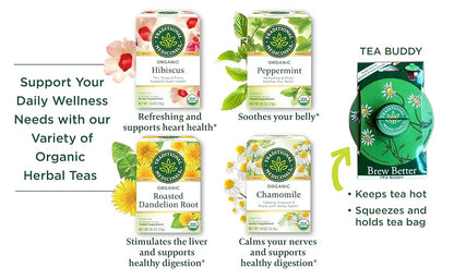 Visit the Traditional Medicinals Store — Traditional Medicinals Organic Spearmint, 16 Tea Bags - product image 97
