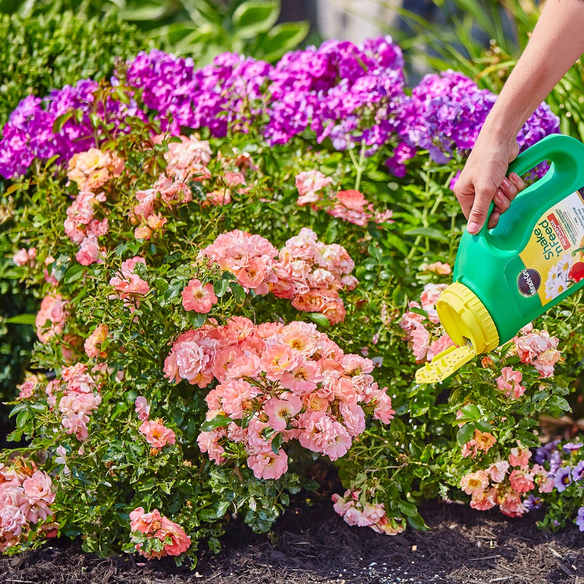 Miracle-Gro Shake 'n Feed landscaping and patio garden fertilizer