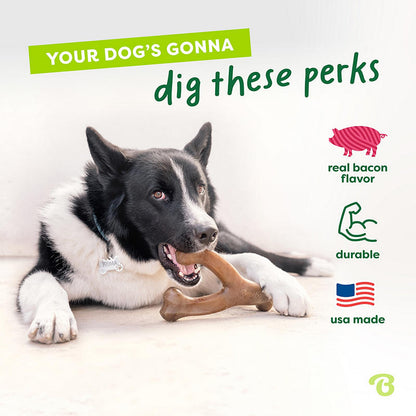Wishbone-style dog chew toy with real bacon flavor