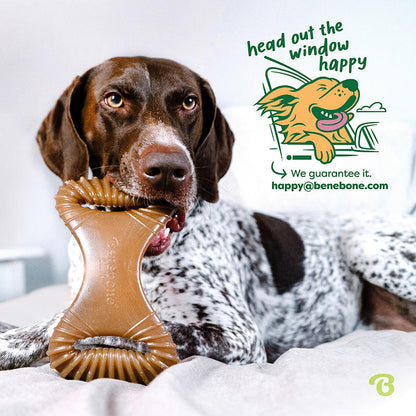 Long-lasting Benebone chew toy for strong dogs