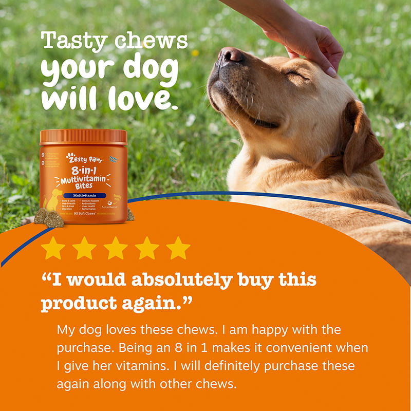 Pumpkin flavored bite-sized dog supplement chews