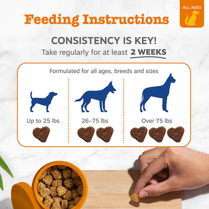 Dog multivitamin bites for skin coat digestion and joints