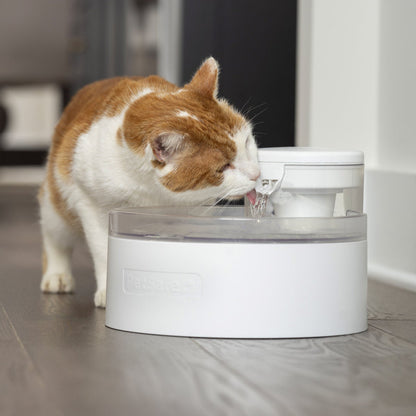 PetSafe Outlast fountain product view with accessories
