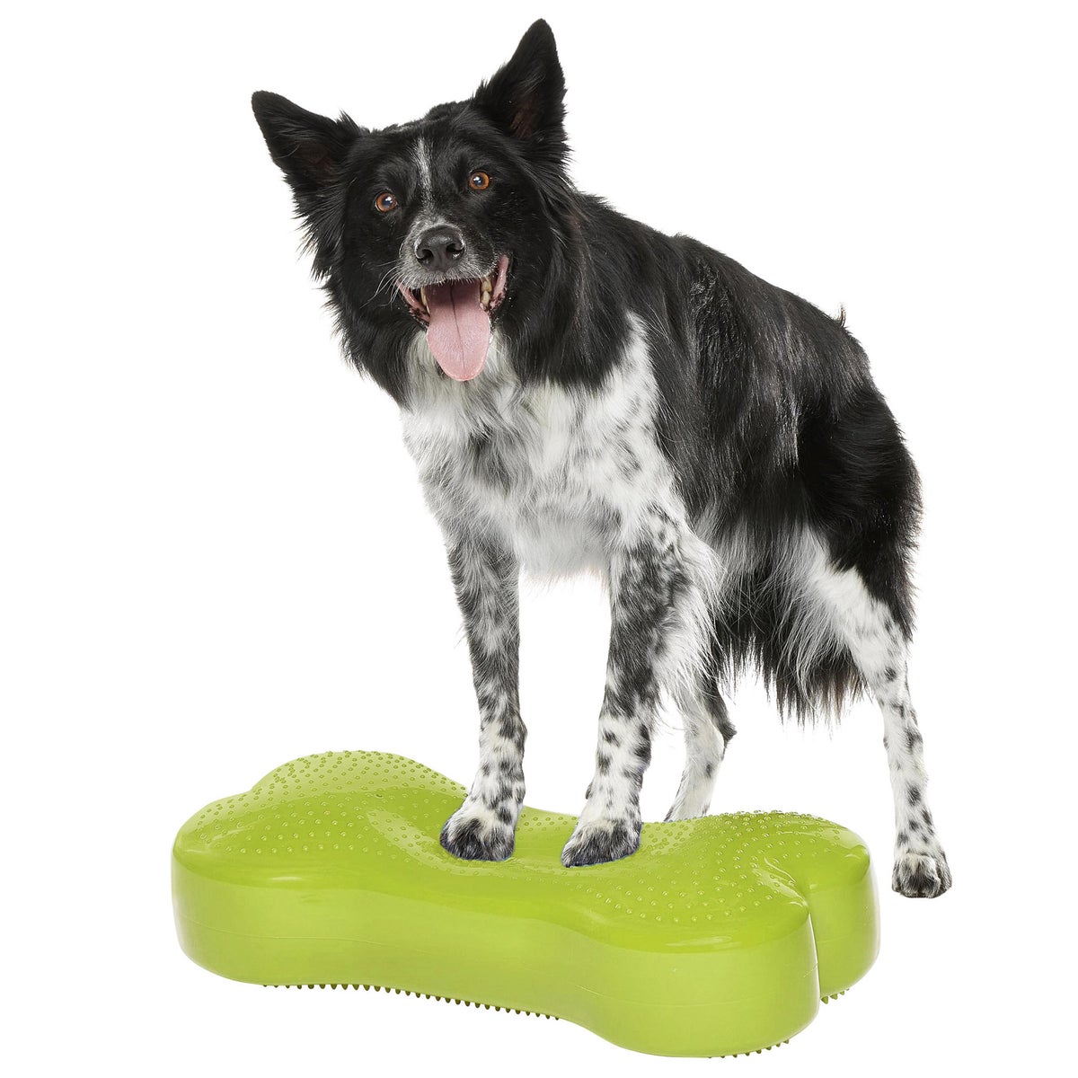 FitPaws Duo Disk inflatable balance trainer