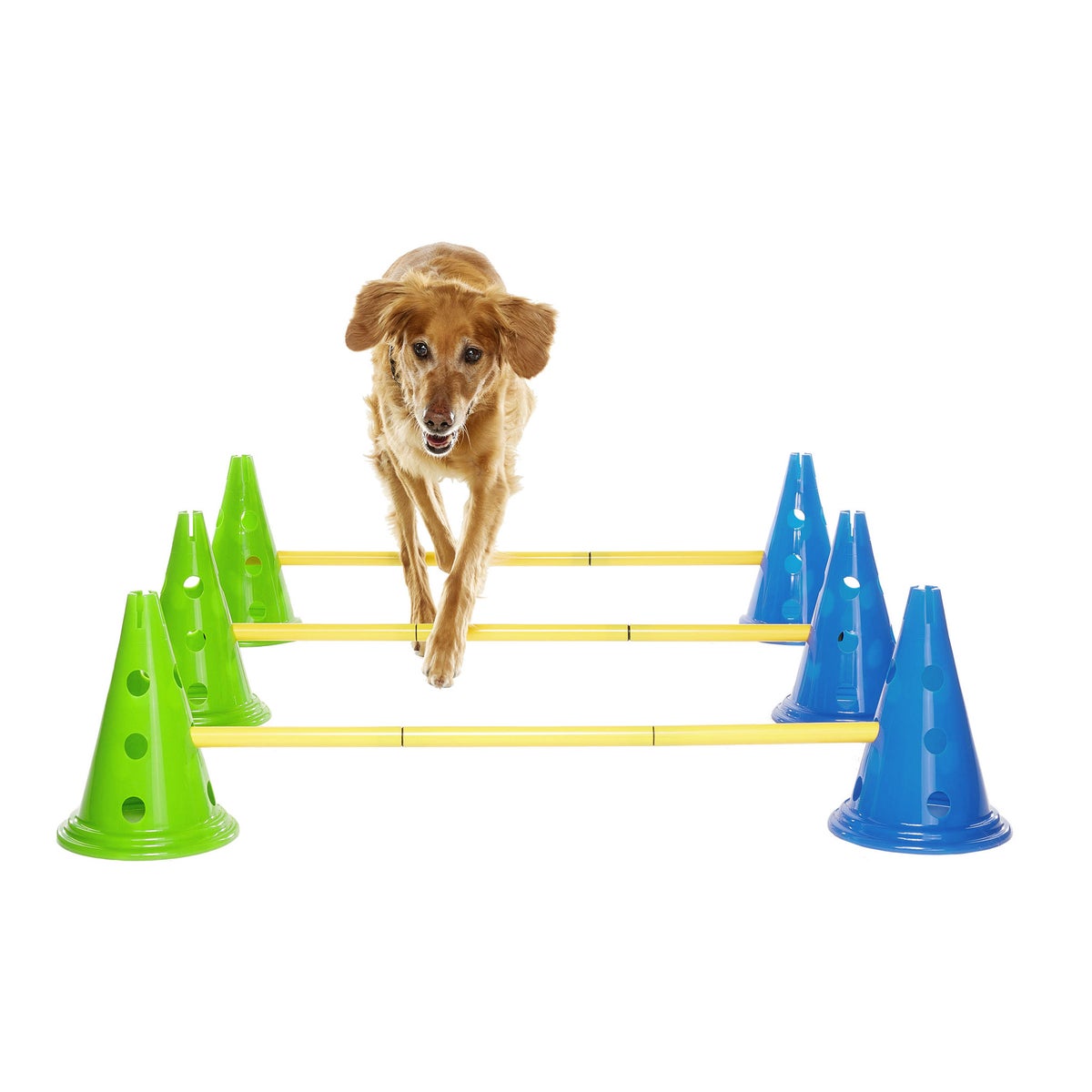 FitPaws CanineGym dog agility kit bundle with cones and rails