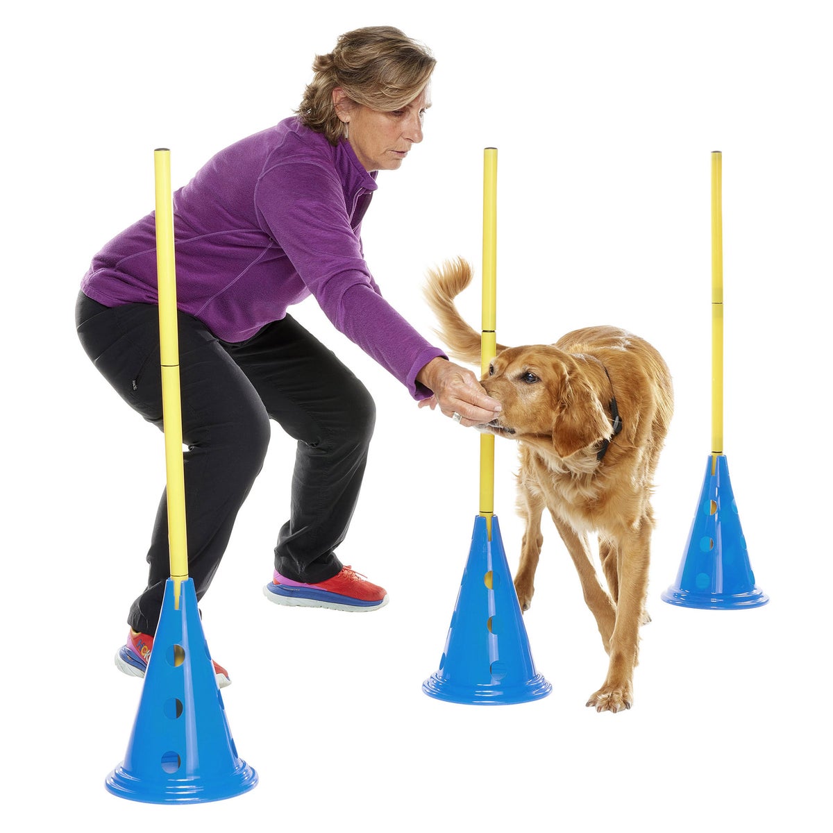FitPaws dog training cones for agility practice