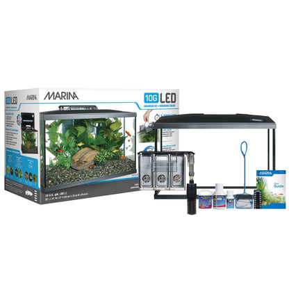 Glass 10 gallon aquarium with LED lighting