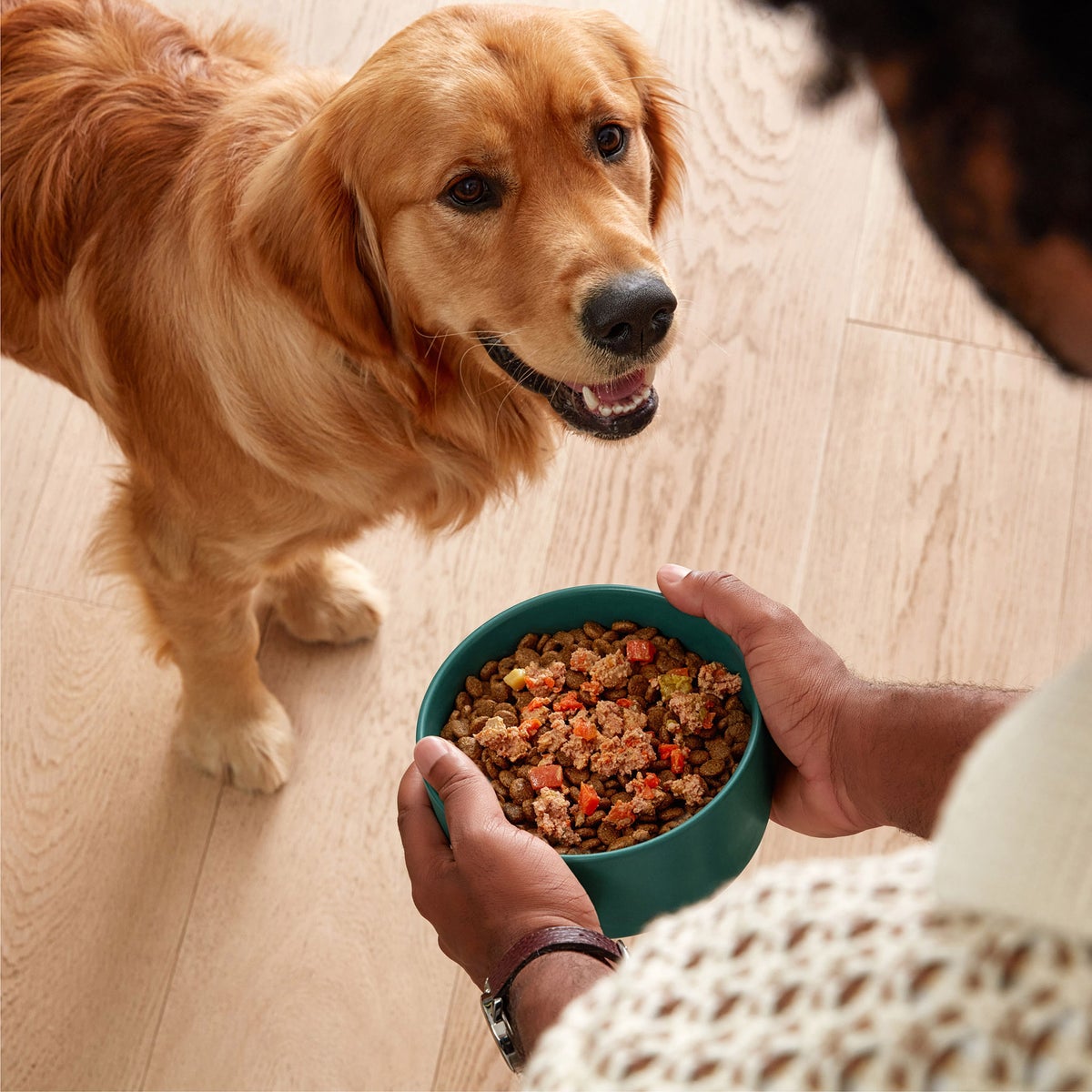 Jinx dog food variety pack with beef chicken and salmon