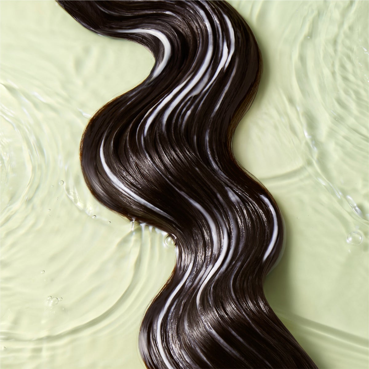 Plant-based hair care duo with aloe