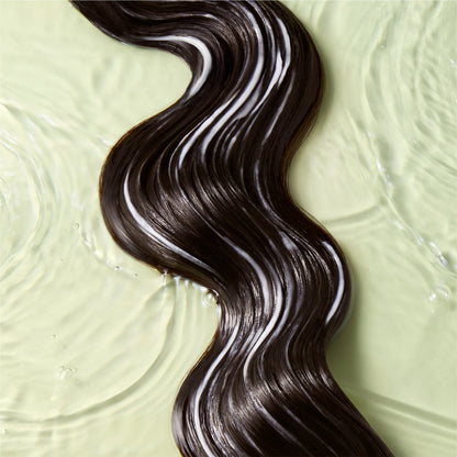 Plant-based hair care duo with aloe