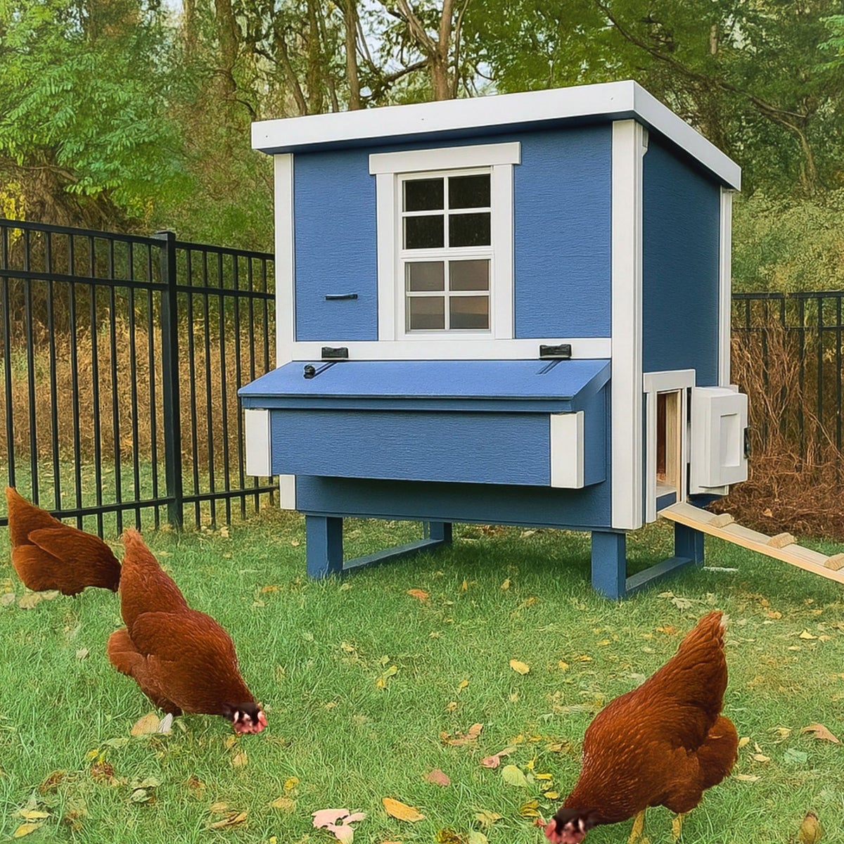 OverEZ medium chicken coop exterior view