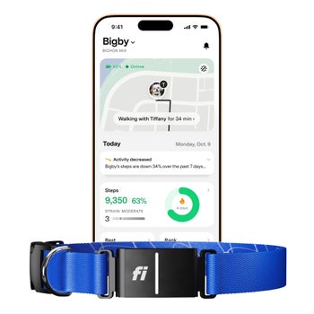 Fi Series 3+ gray smart dog GPS collar X-Large