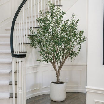 Faux 8 foot olive tree with cream modern planter