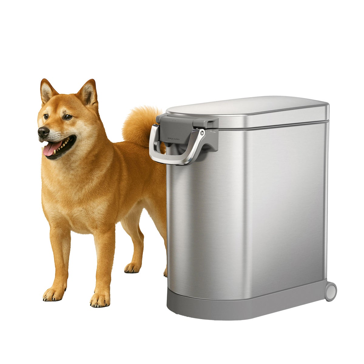 Removable inner bucket pet food container