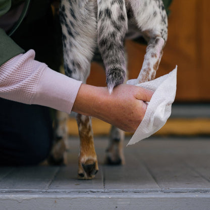 Earth Rated pet wipes pack with 60 wipes