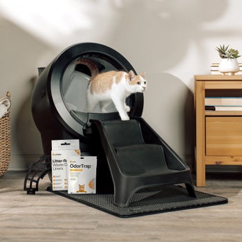 Whisker Litter-Robot 4 black self-cleaning cat litter box