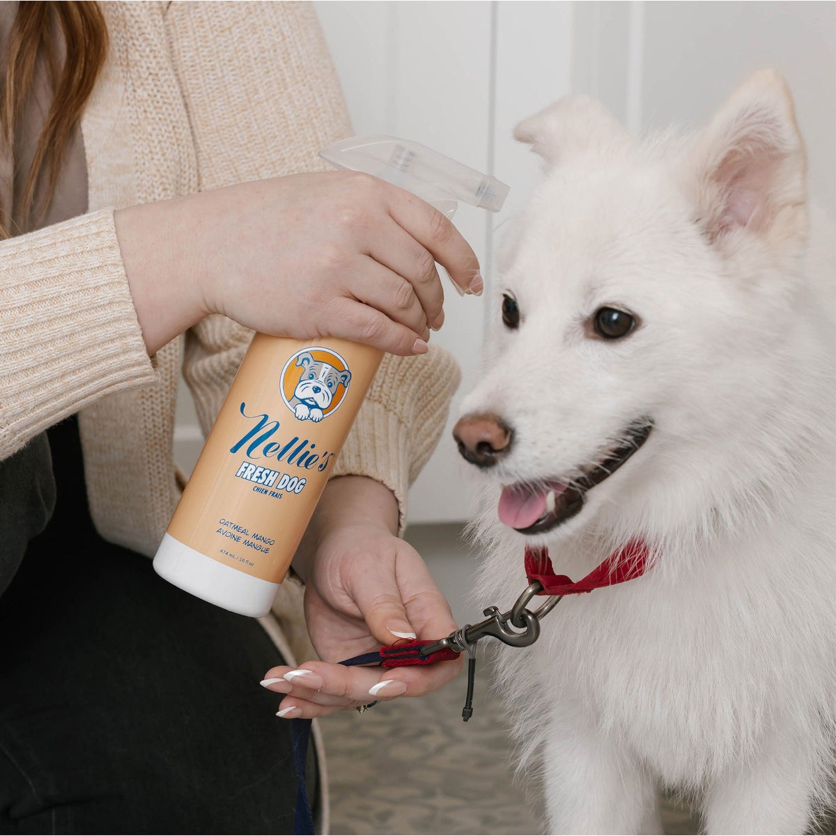 Plant-based dog grooming shampoo with oatmeal mango scent