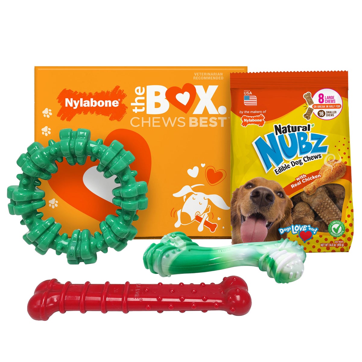 Nylabone chew toys and NUBZ gift box 4-count