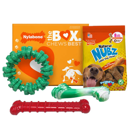 Nylabone chew toys and NUBZ gift box 4-count