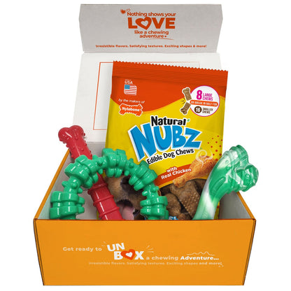 Nylabone dog chew gift box with assorted toys