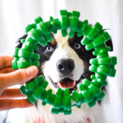 Curvy Swirl Bone dog chew toy by Nylabone