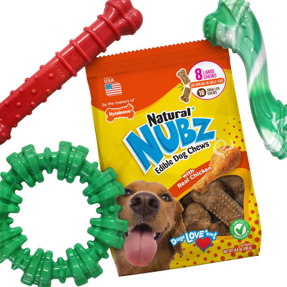 Nylabone chew toys and treats assortment box