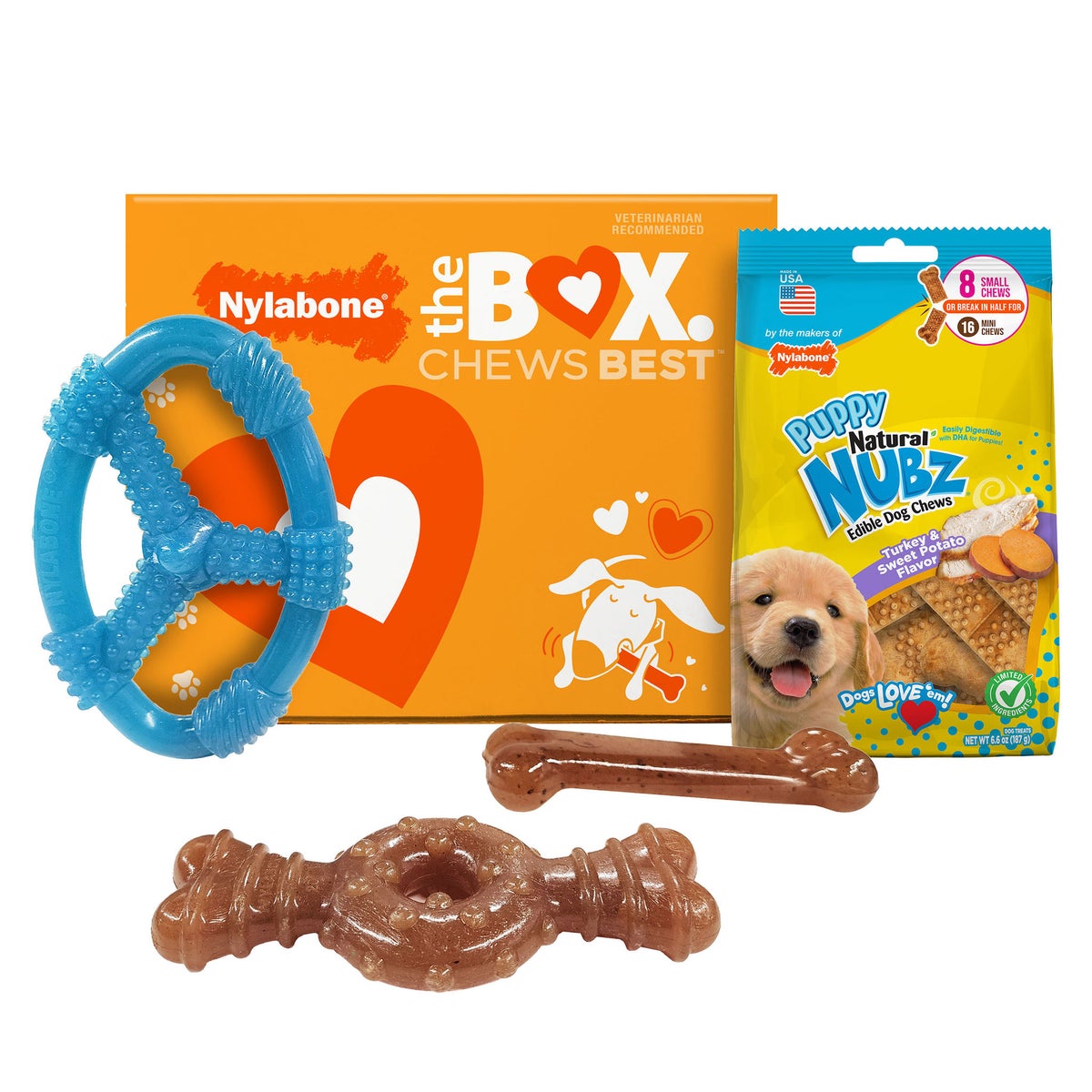 Nylabone puppy chew toy gift box 4-count