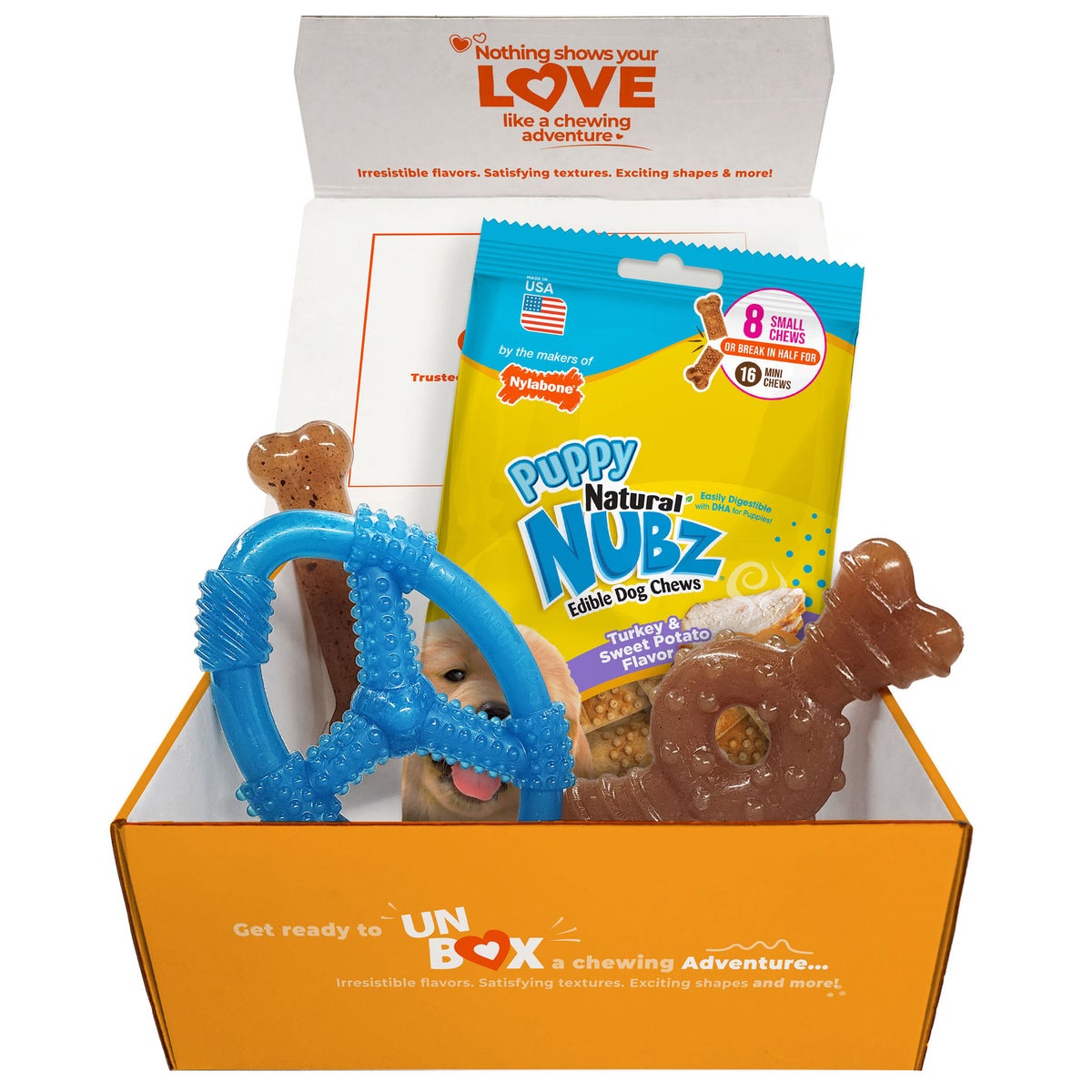 Nylabone puppy teething bone and chew set