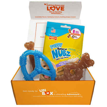 Nylabone puppy teething bone and chew set