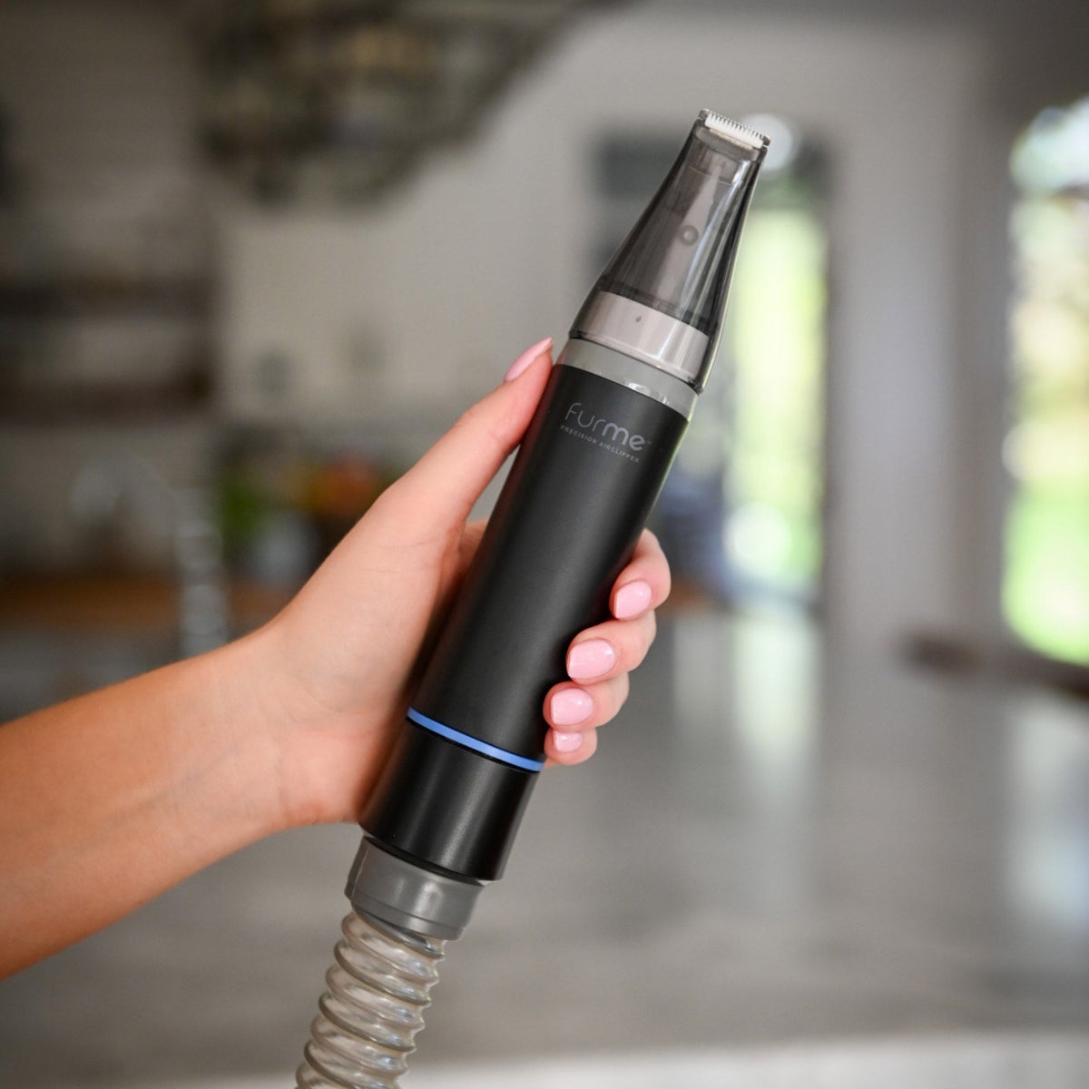 Quiet pet-friendly paw grooming accessory