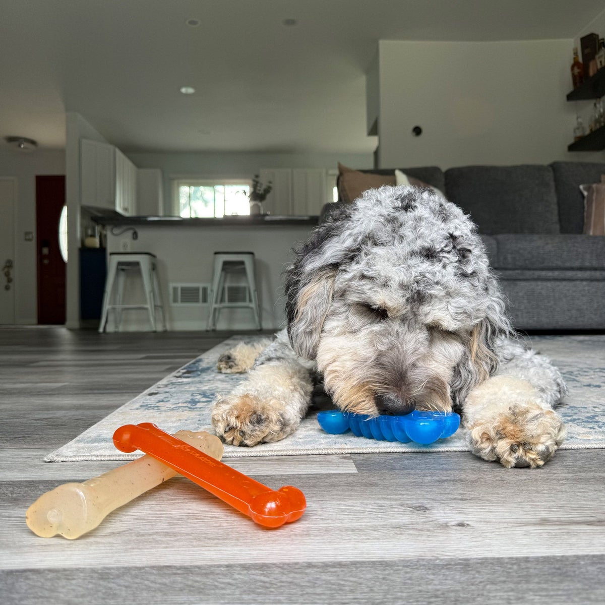 Gentle on teeth dog chew toy set