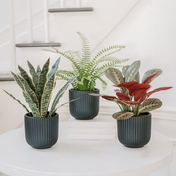 CGH faux decorative plant trio with indoor planters