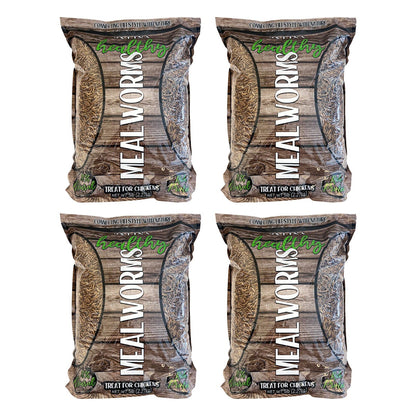 Zylina healthy mealworms 4-pack 5 lb bags