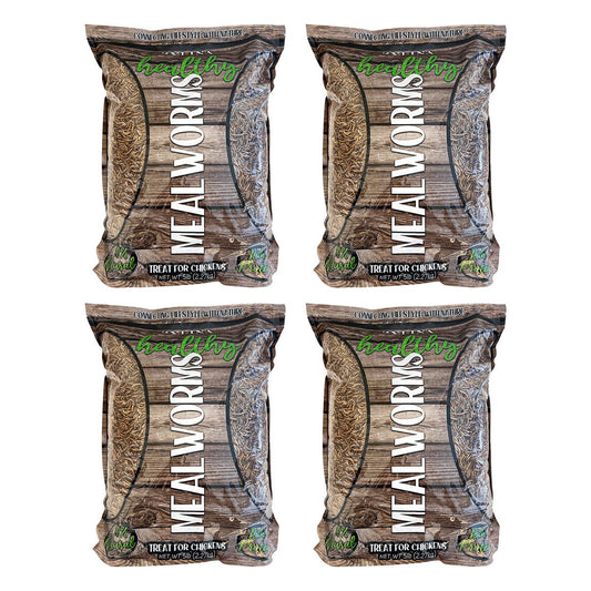 Zylina healthy mealworms 4-pack 5 lb bags