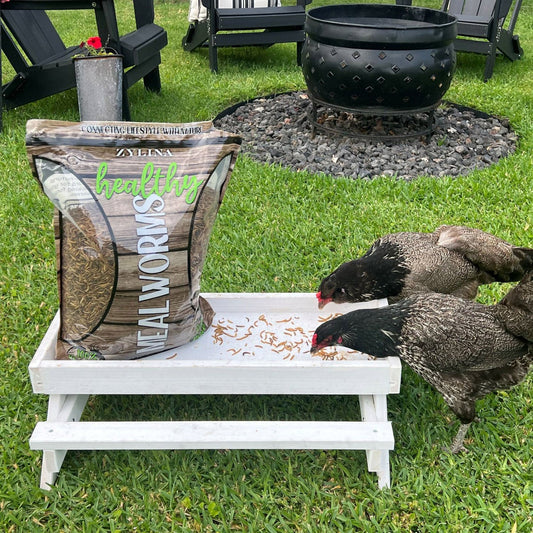 Bulk chicken mealworms for flock nutrition