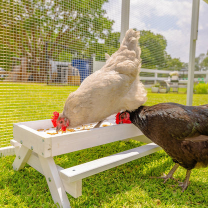 Zylina mealworms for molting support