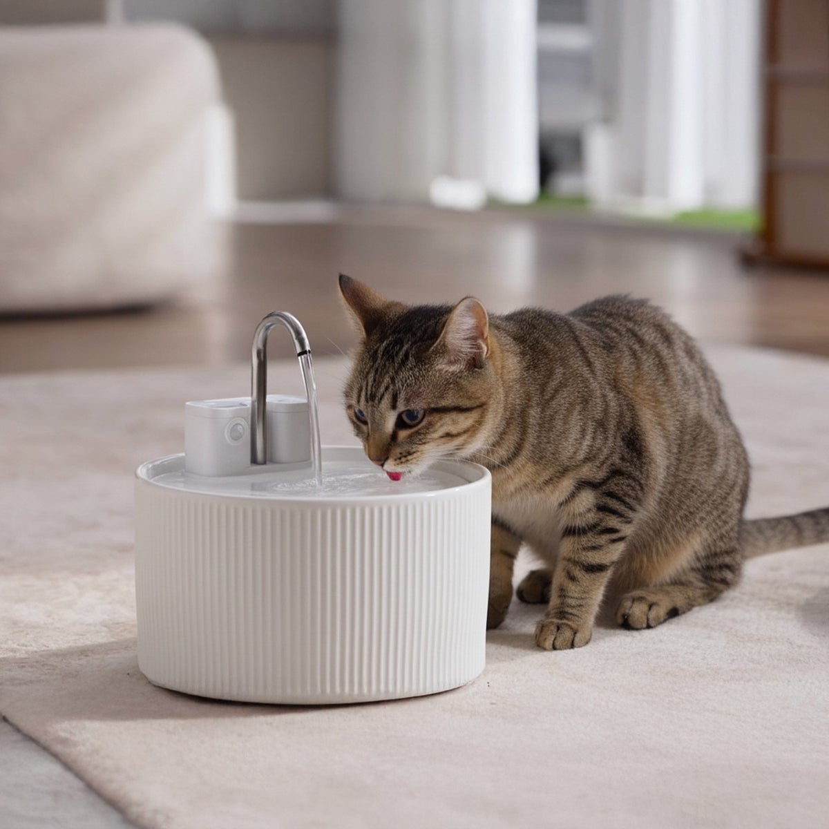 Rechargeable pet water fountain with motion sensor