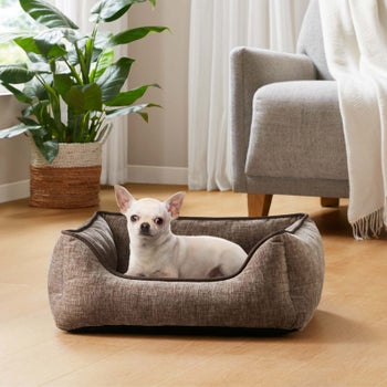 Kirkland Signature wide walled cuddler pet bed in light gray
