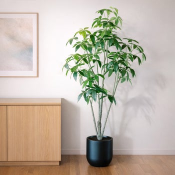 CGH faux 6.5 foot Schefflera tree with planter