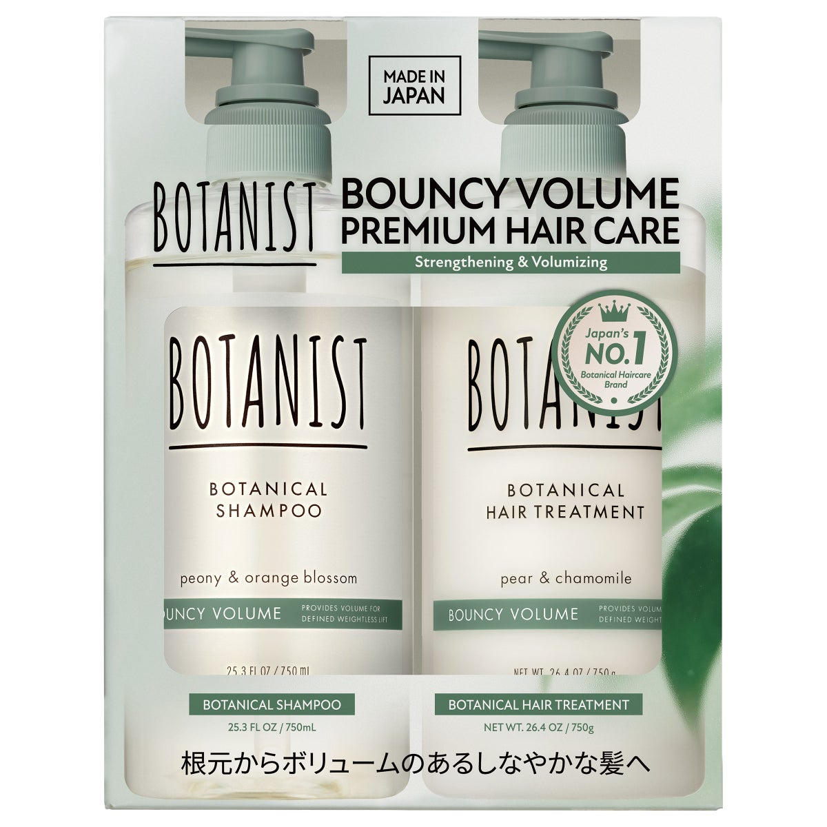 Botanical shampoo and treatment duo for hair care